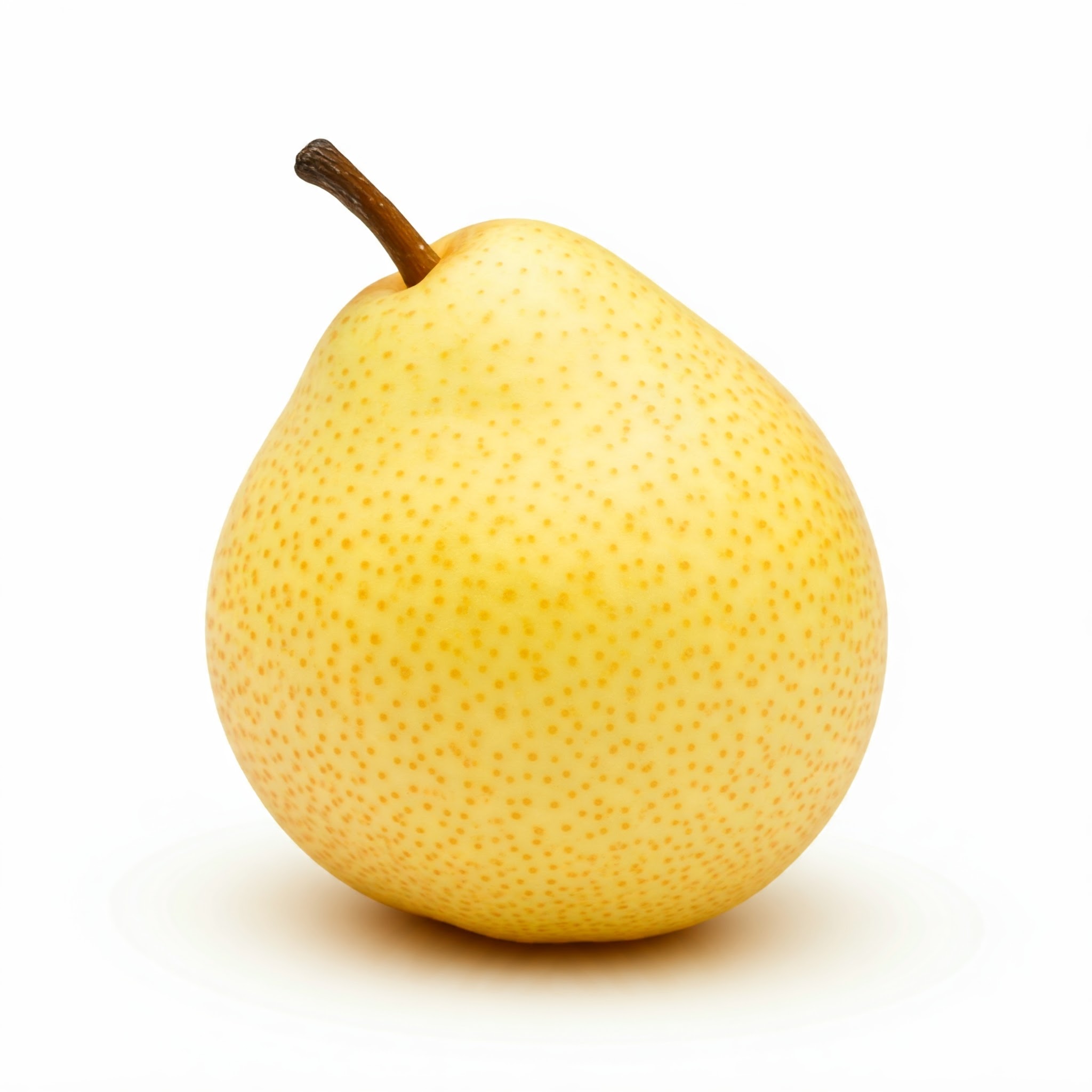 Xuehua pear, source of PEARfect Tone® biomimetic active for multispectral photoprotection and tone stability