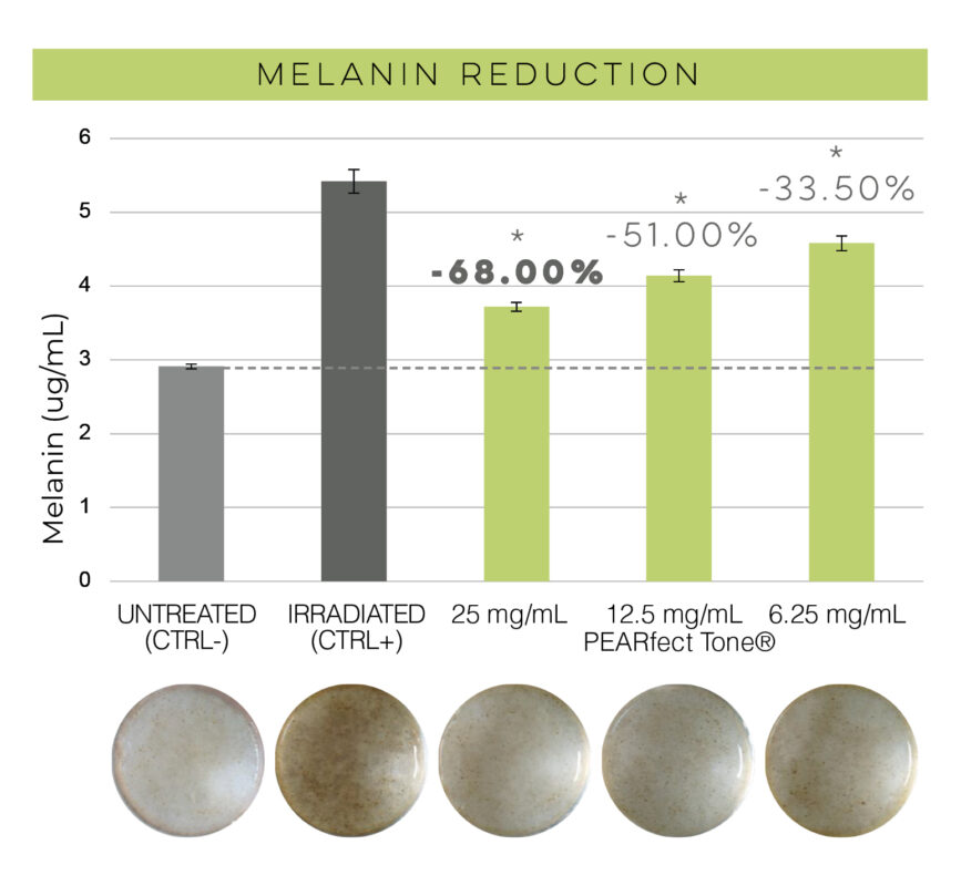 Reduction of melanin levels after UV irradiation following treatment with PEARfect Tone® at 25, 12.5 and 6.25 mg/mL, showing a dose-dependent decrease compared to irradiated control.